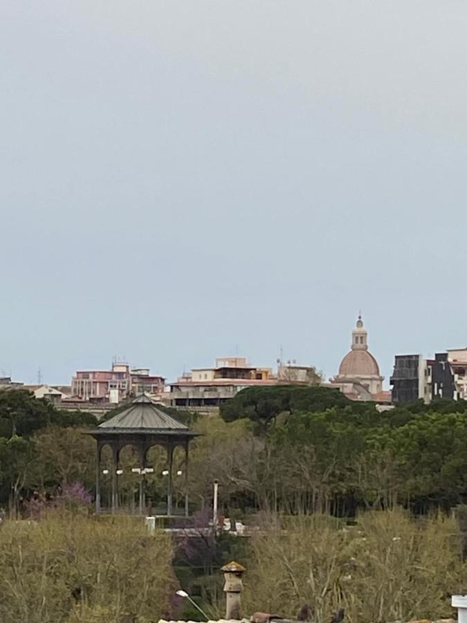 Papali 289